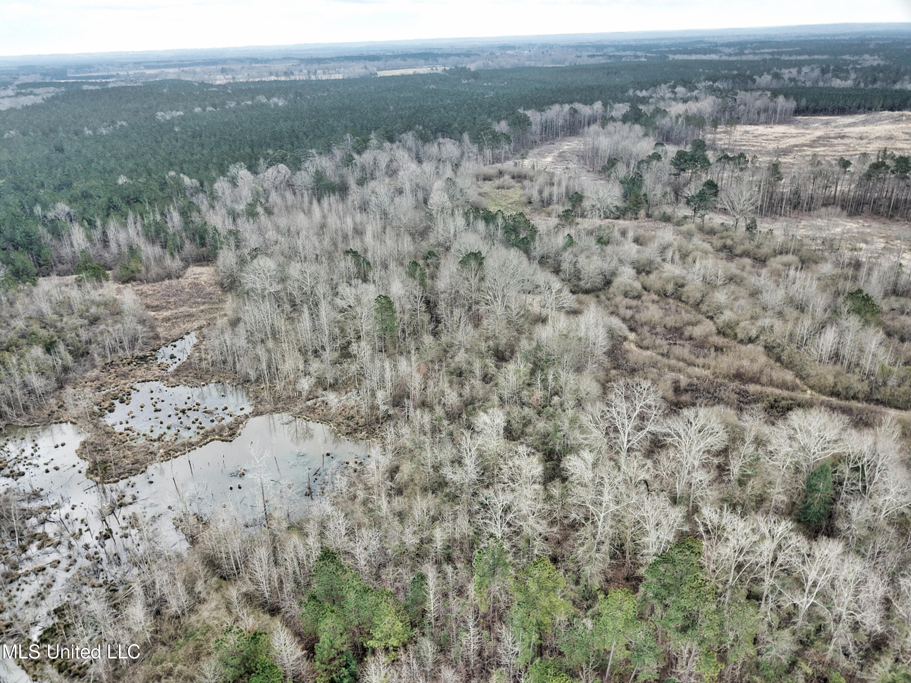 0 Scr 503 Raleigh, MS 39153 - Photo 5 of 18 DJI_0023-1