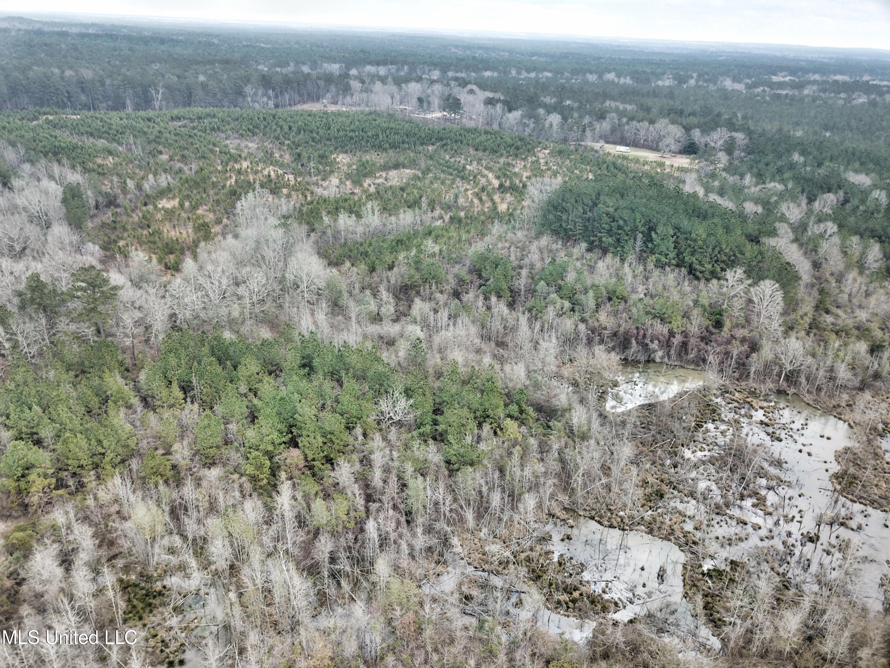 0 Scr 503 Raleigh, MS 39153 - Photo 6 of 18 DJI_0028-1