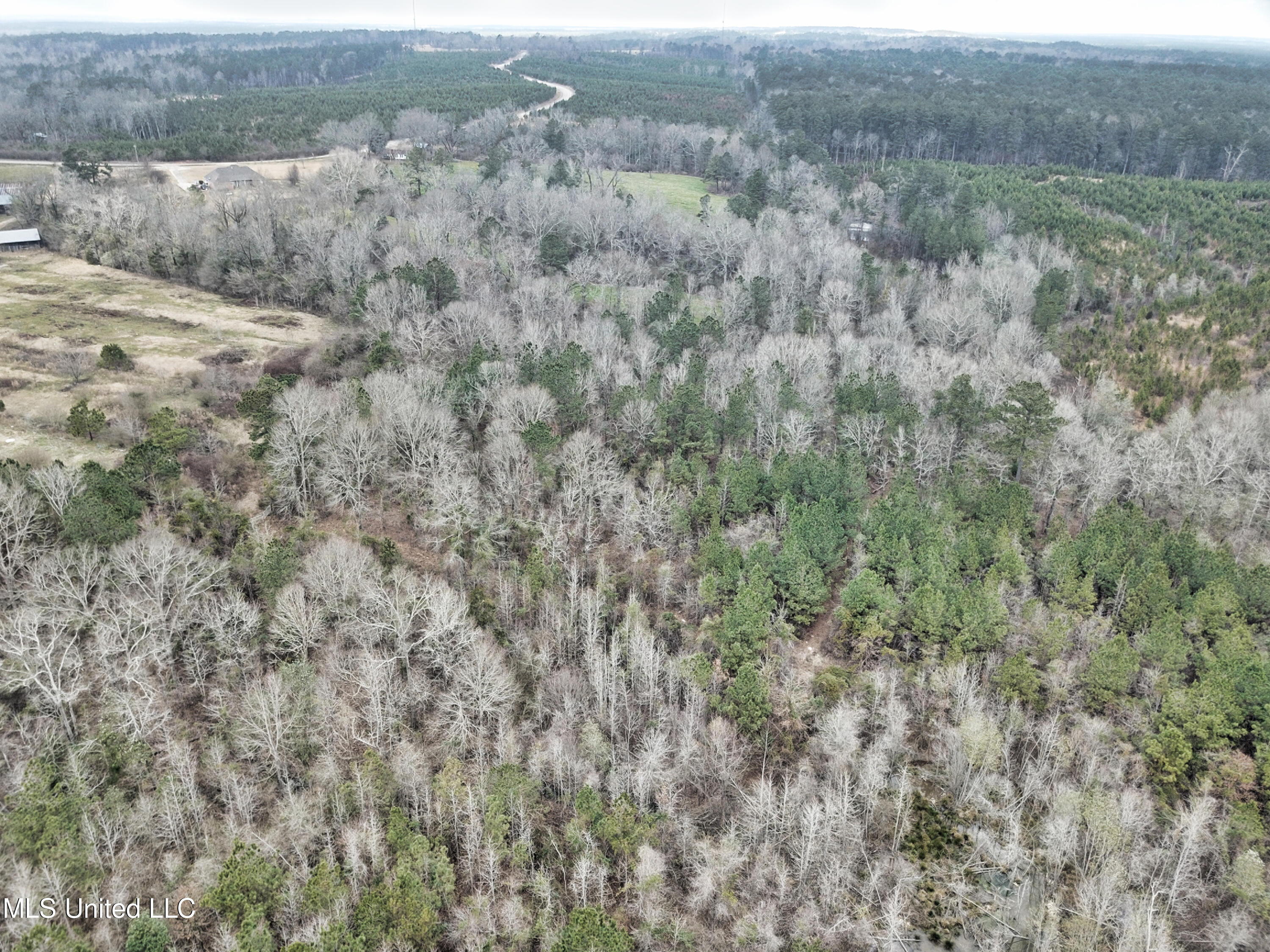 0 Scr 503 Raleigh, MS 39153 - Photo 7 of 18 DJI_0033-1