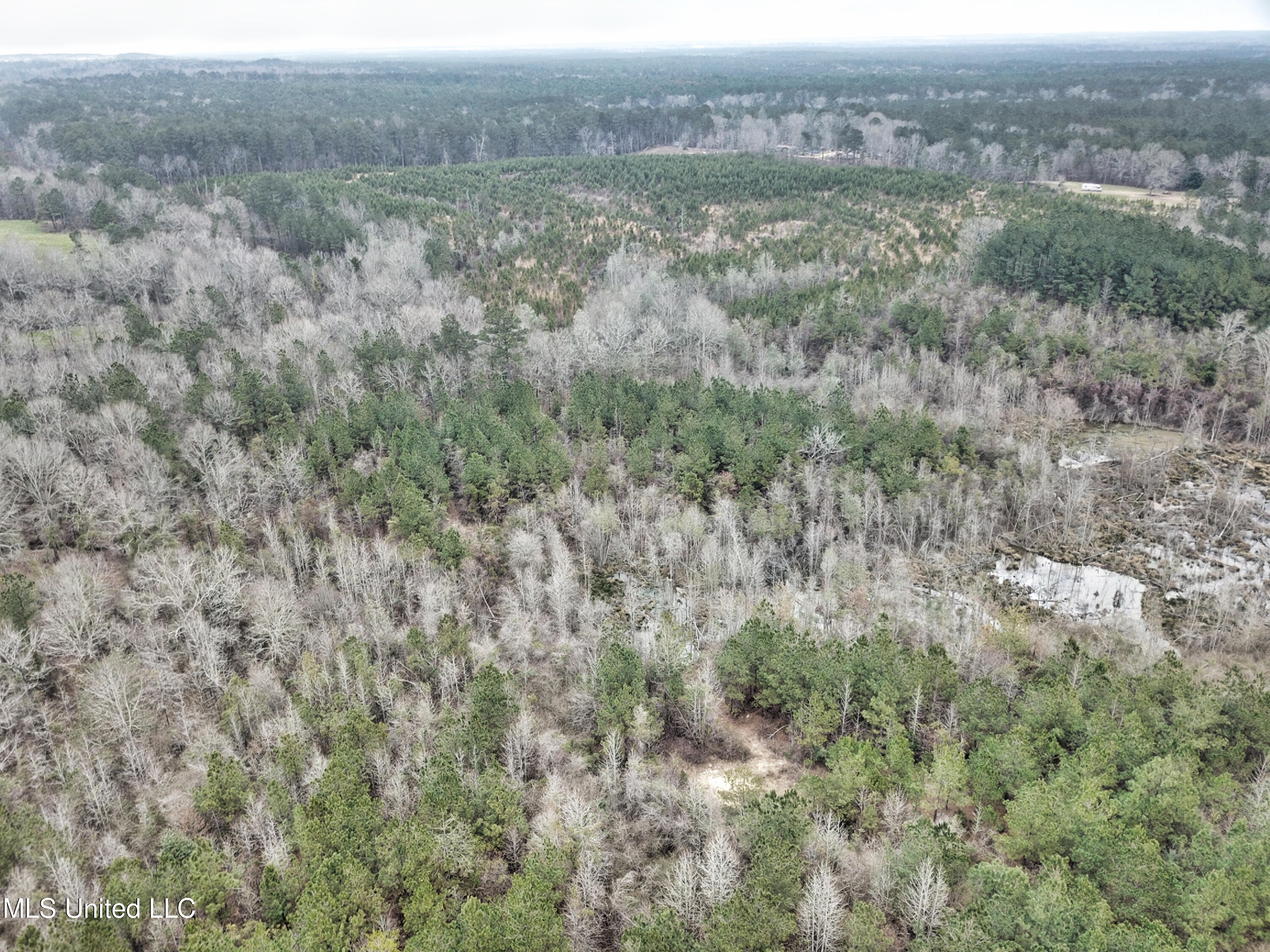 0 Scr 503 Raleigh, MS 39153 - Photo 8 of 18 DJI_0038-1