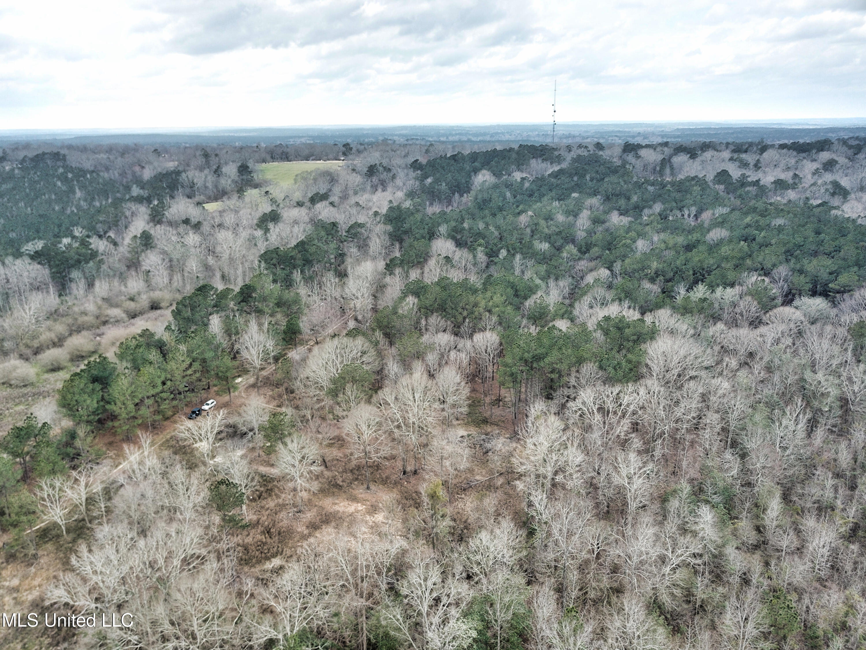 0 Scr 503 Raleigh, MS 39153 - Photo 10 of 18 DJI_0048-1