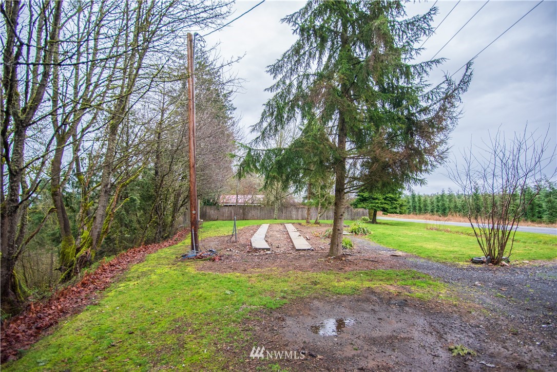 765 Eadon Road Toledo, WA 98591 - Photo 35 of 40 a view of a park with large trees