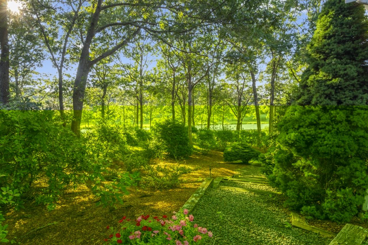 439 Elliott Road Centerville, MA 02632 - Photo 3 of 45 centerville-barnstable-massachusetts-usa