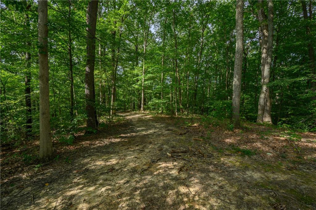 5597 Lanam Ridge Road Nashville, IN 47448 - Photo 55 of 60 Gallery Image 55