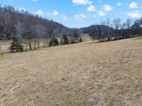 a view of a dry yard with mountains in the background