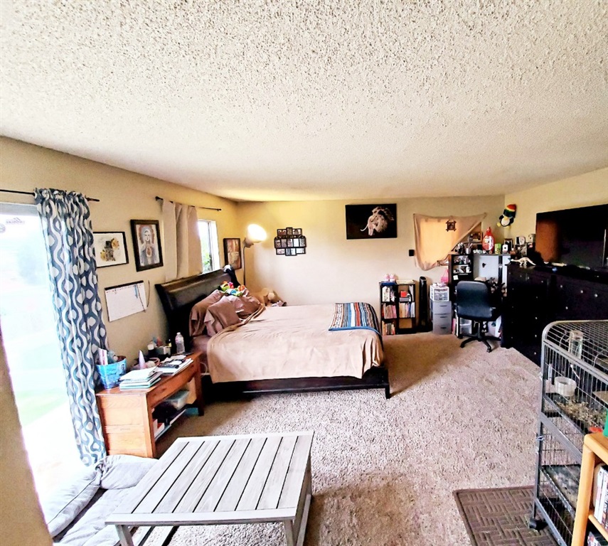 151 Lakeview Avenue Spring Valley, CA 91977 - Photo 6 of 13 Main Master Bedroom 1 with access to backyard and view to Sweetwater Reservoir...
