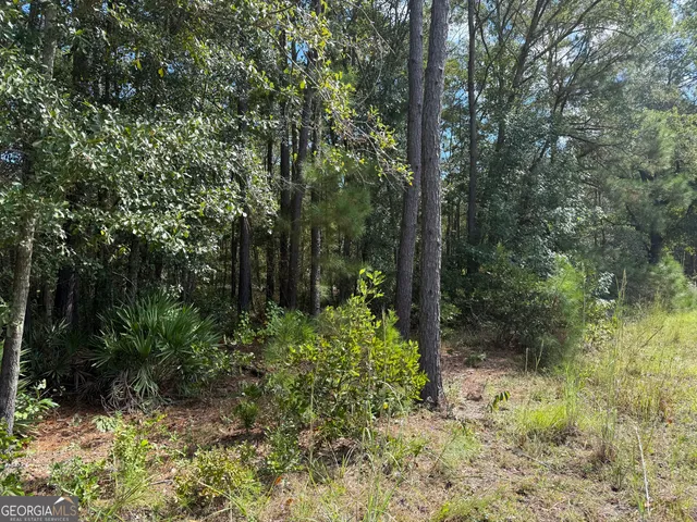 $99,000 | 124 Oak Street, Rincon, GA 31326