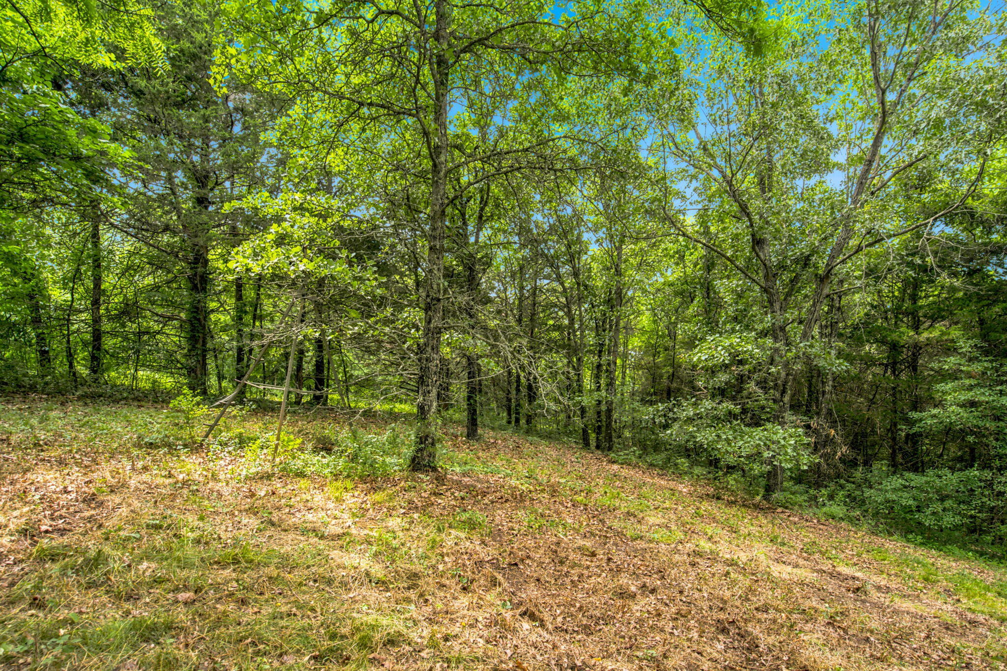 Lot 12 Kingsgate Road Lampe, MO 65681 - Photo 17 of 33 6-web-or-mls-DSC05801