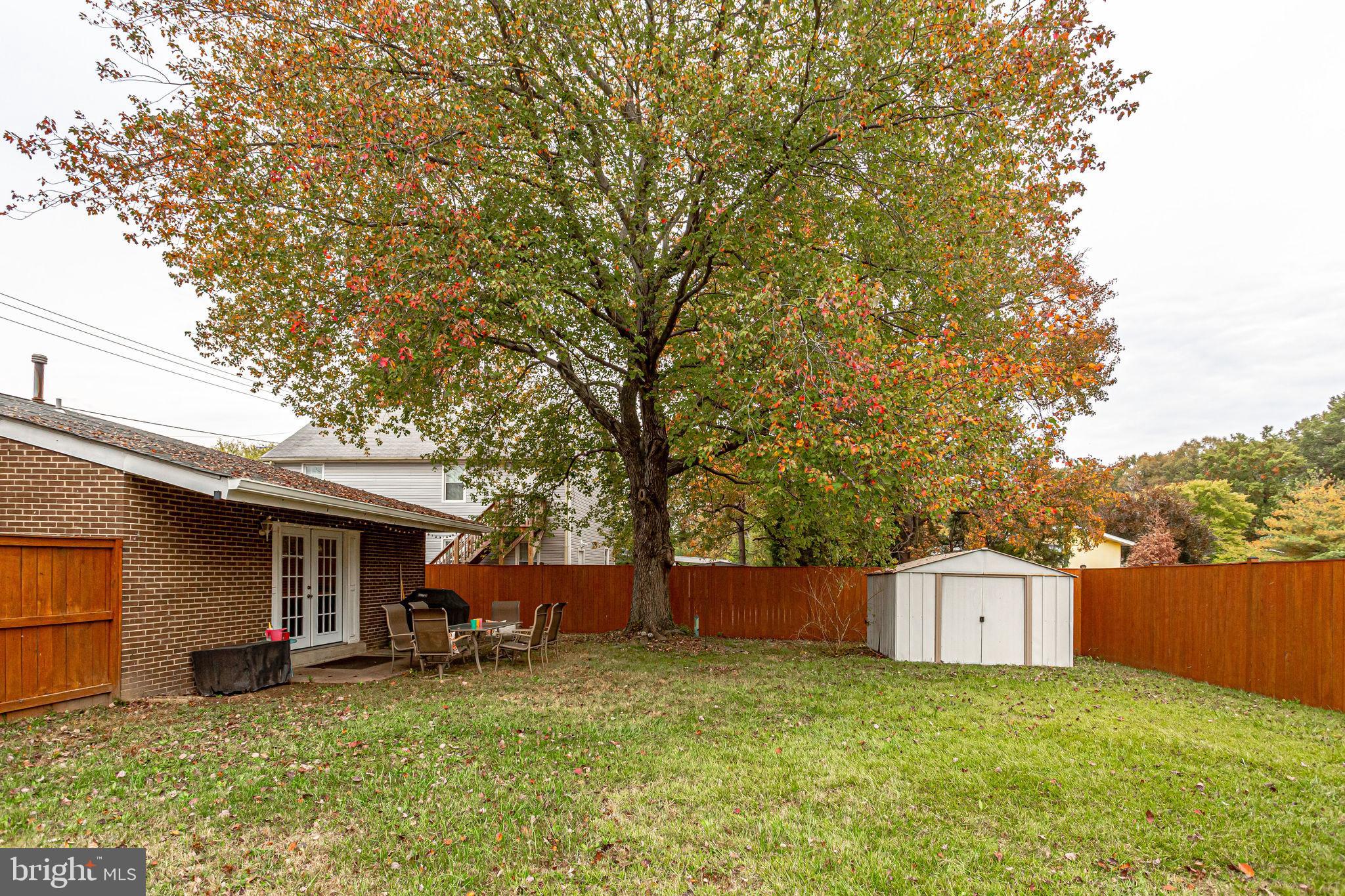 7811 Fordson Road Alexandria, VA 22306 - Photo 46 of 51 Backyard