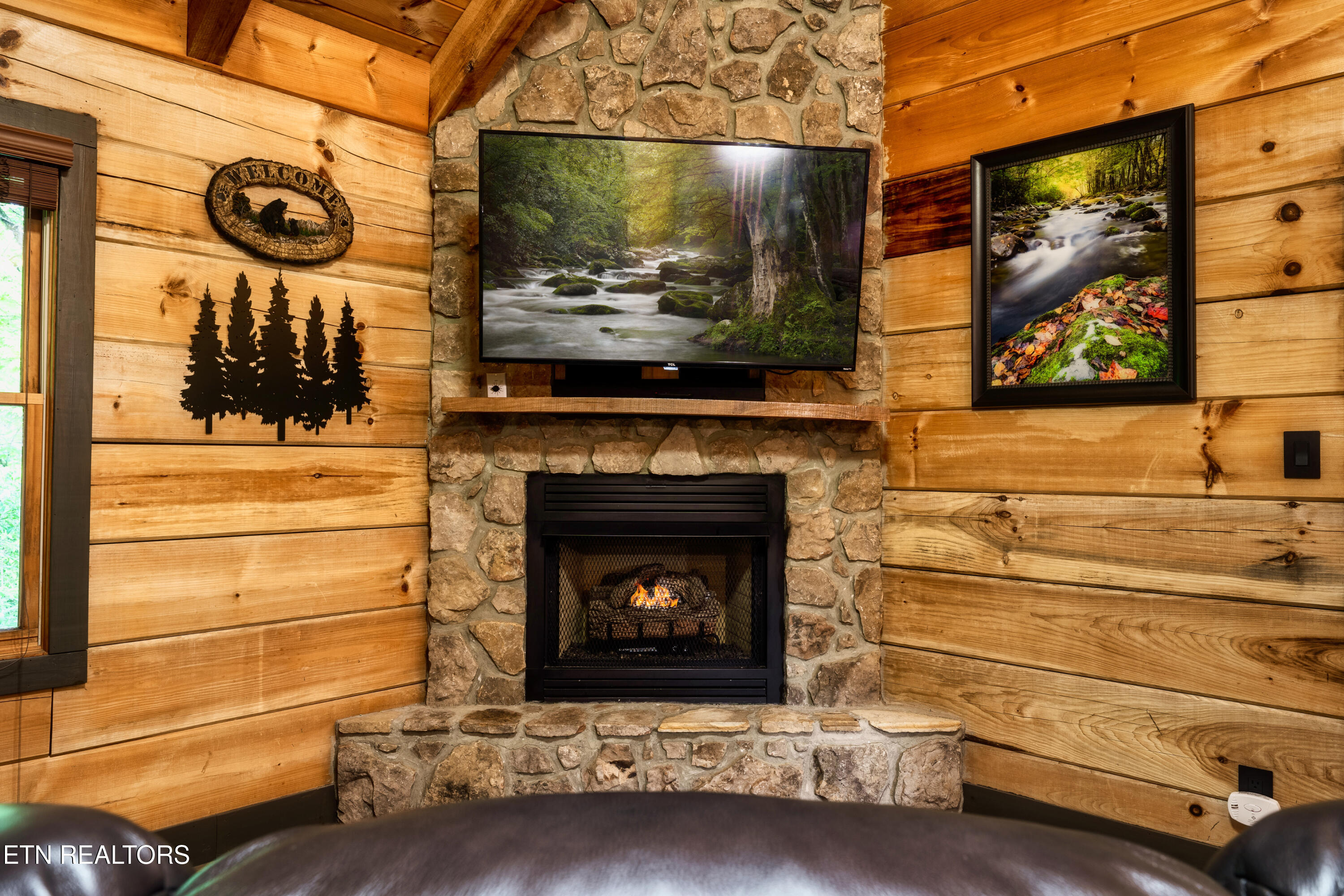 347 Caney Creek Road Pigeon Forge, TN 37863 - Photo 17 of 41 19