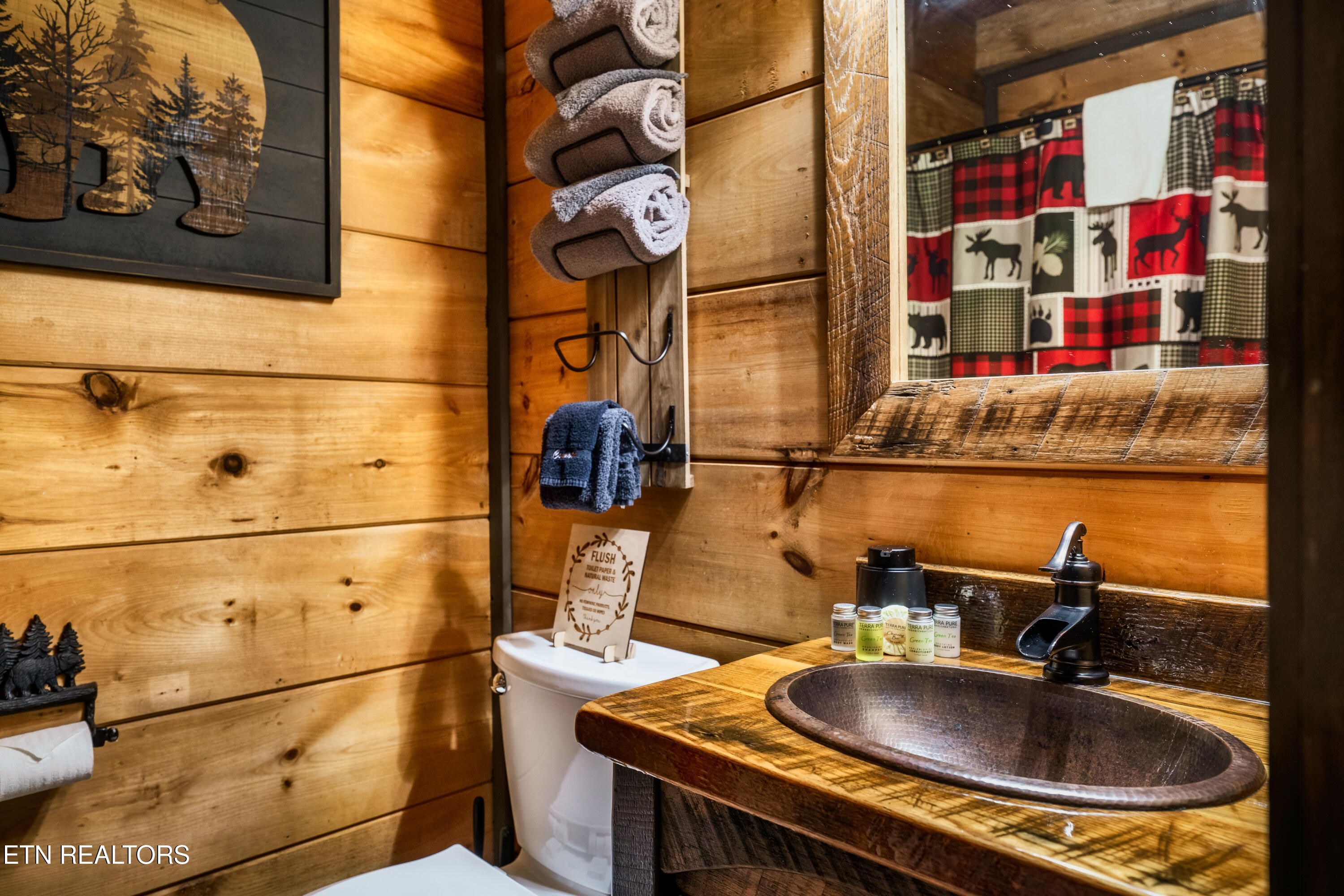 347 Caney Creek Road Pigeon Forge, TN 37863 - Photo 29 of 41 36