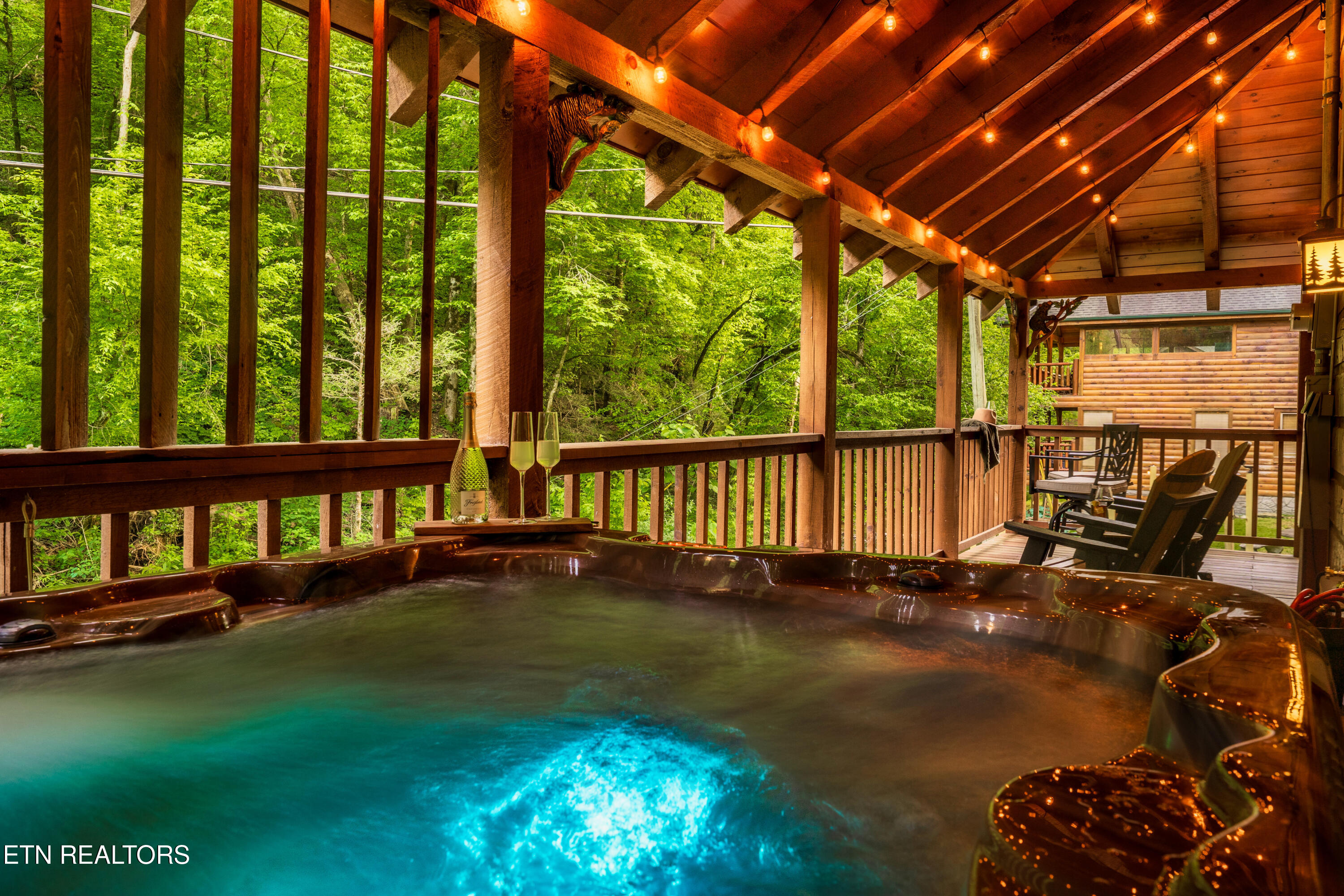 347 Caney Creek Road Pigeon Forge, TN 37863 - Photo 3 of 41 03