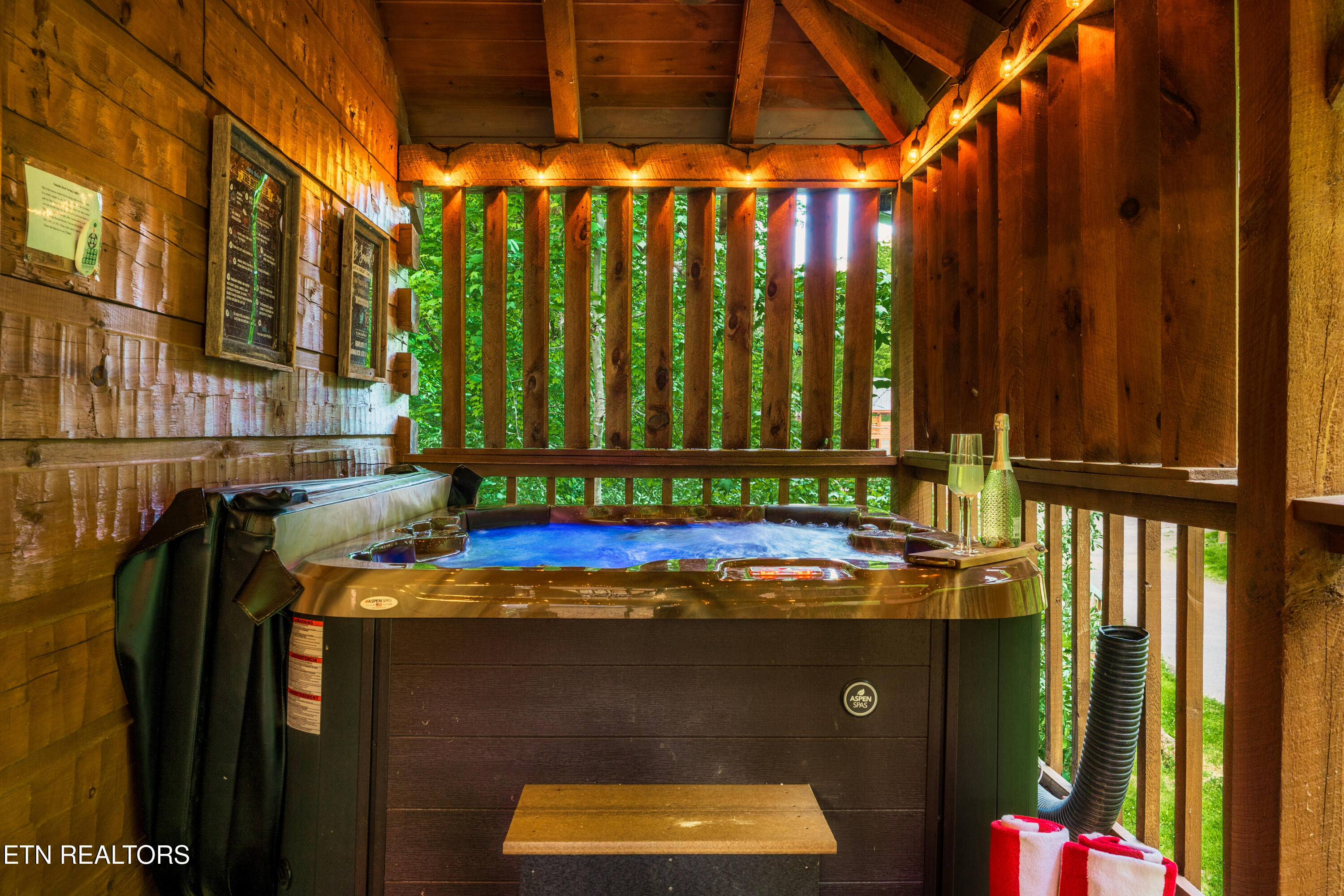 347 Caney Creek Road Pigeon Forge, TN 37863 - Photo 32 of 41 39