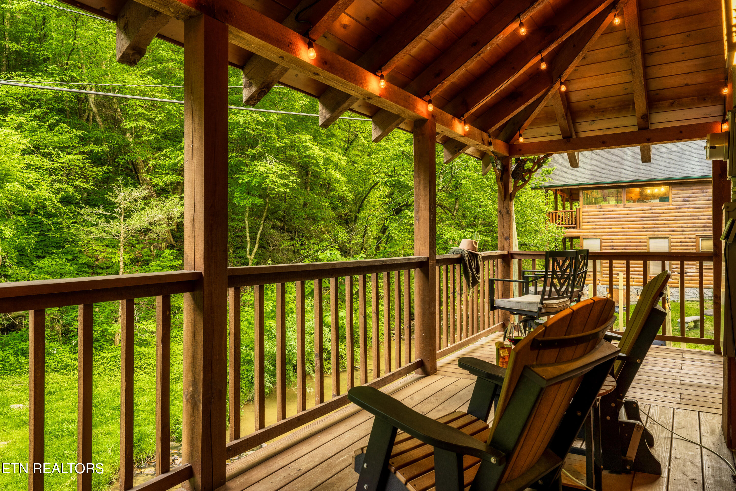 347 Caney Creek Road Pigeon Forge, TN 37863 - Photo 33 of 41 40