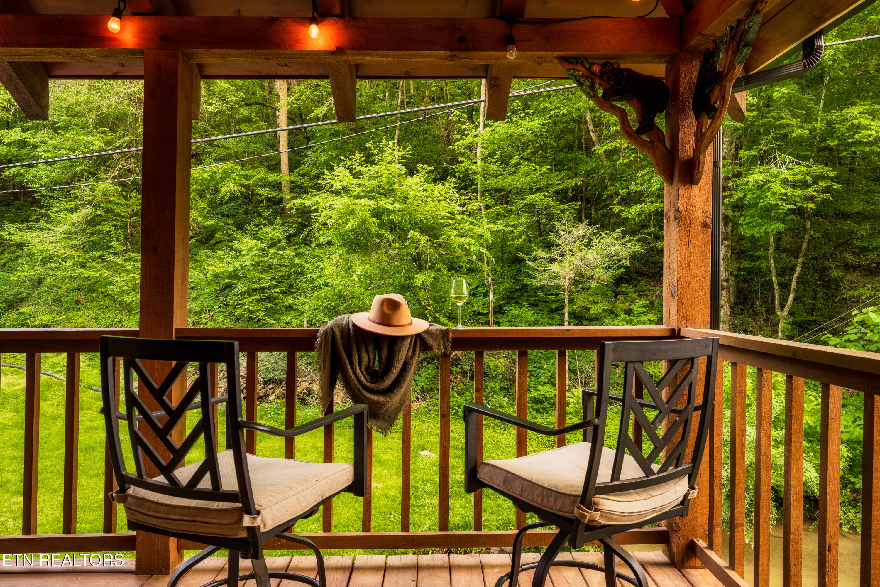 347 Caney Creek Road Pigeon Forge, TN 37863 - Photo 35 of 41 42