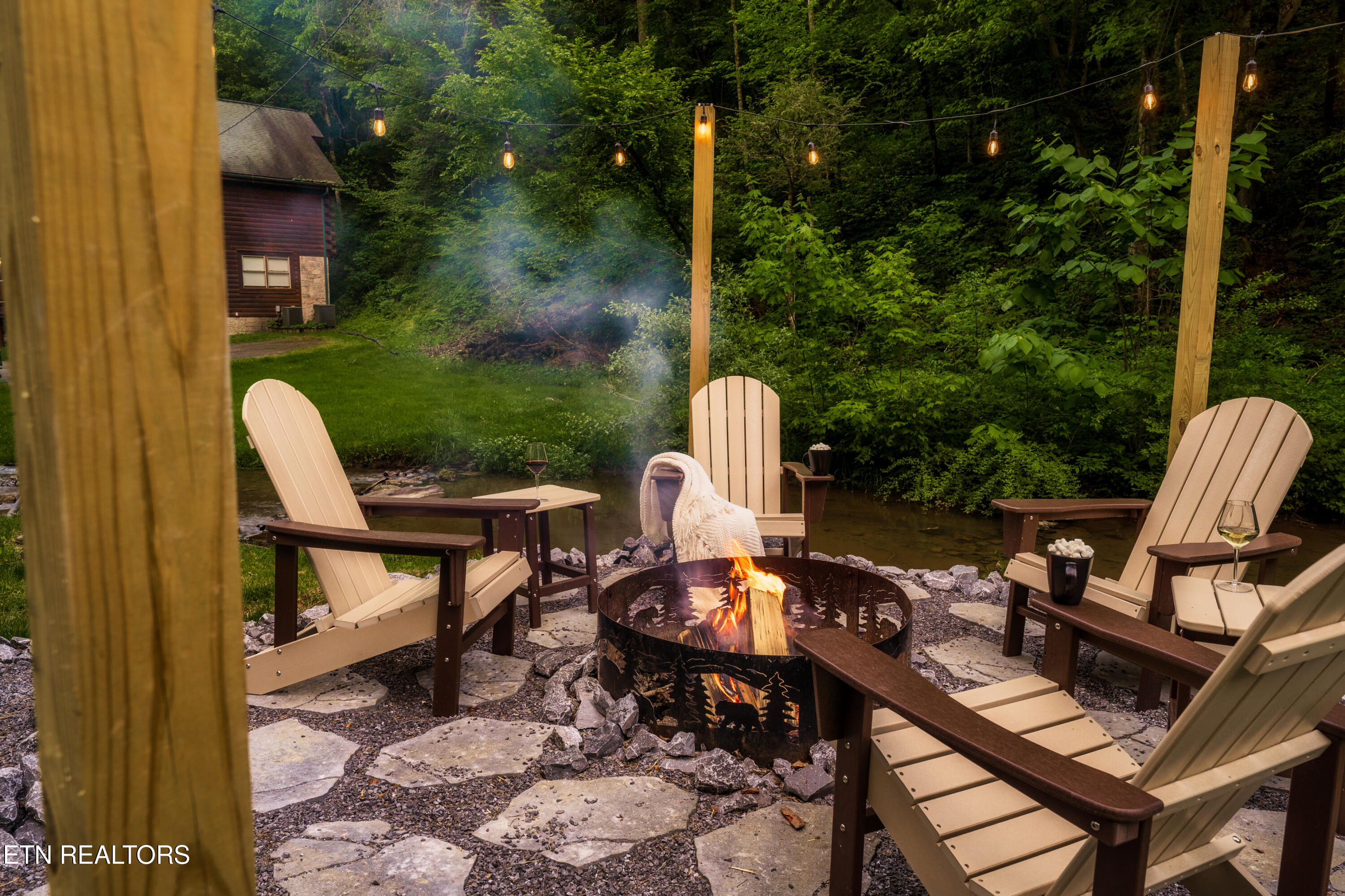 347 Caney Creek Road Pigeon Forge, TN 37863 - Photo 4 of 41 04