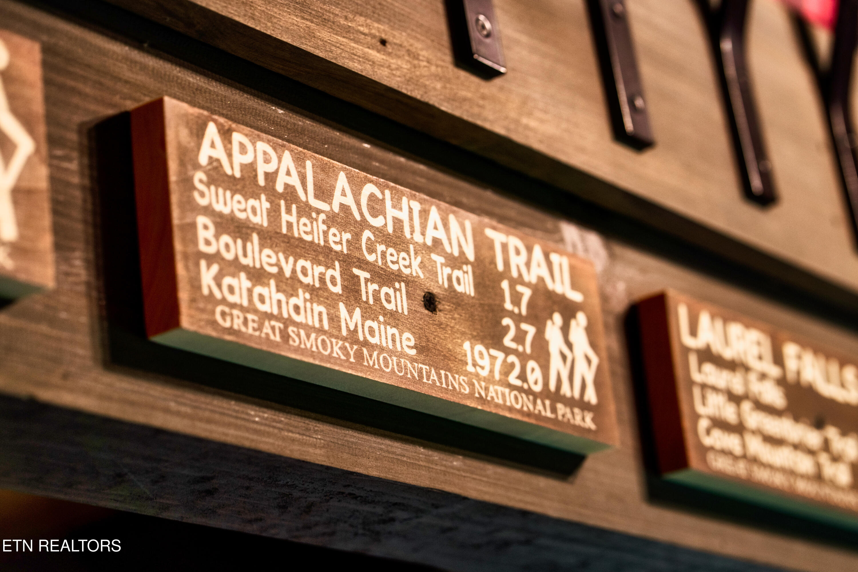 347 Caney Creek Road Pigeon Forge, TN 37863 - Photo 8 of 41 08