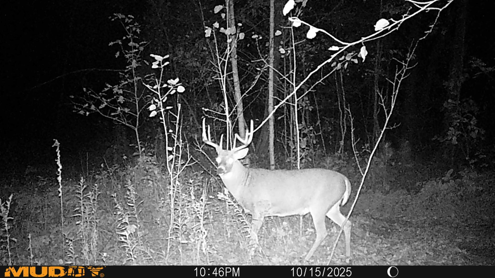 Tbd Tbd Fs2564d Remer, MN 56672 - Photo 17 of 18