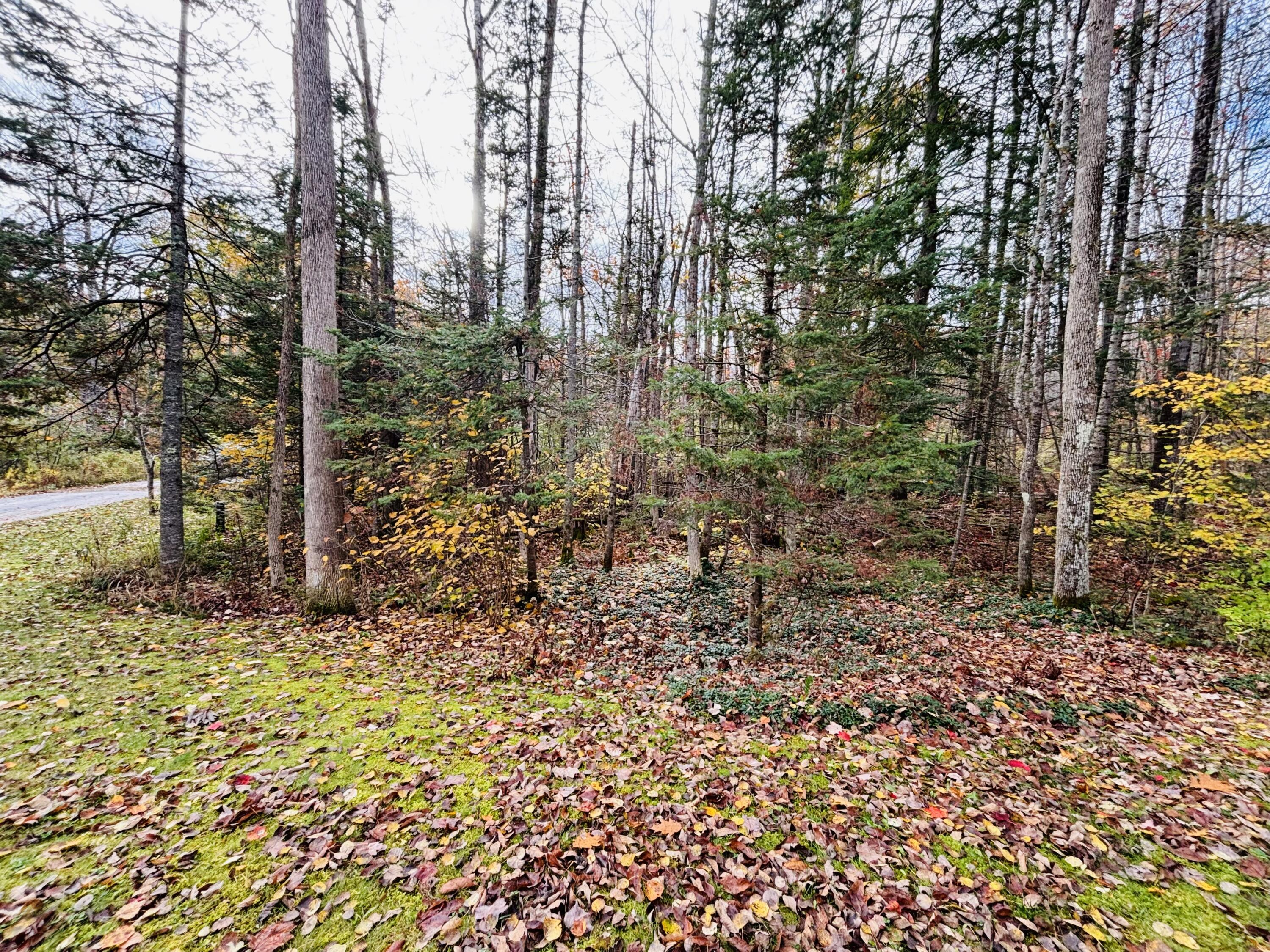 303 Monroe Road Winterport, ME 04496 - Photo 10 of 33 IMG_7023