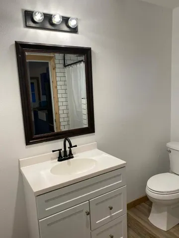 a bathroom with a sink a toilet and mirror