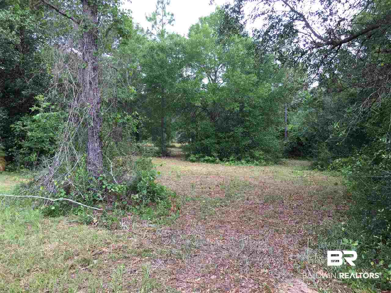 0 New Hope Church Road Robertsdale, AL 36567 - Photo 17 of 17