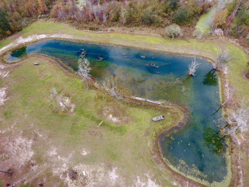 4556 Jacksonboro Road Round O, SC 29474 - Photo 17 of 21 MgMnJhPZSfuWYWUJ8H5ghg_thumb_40ee