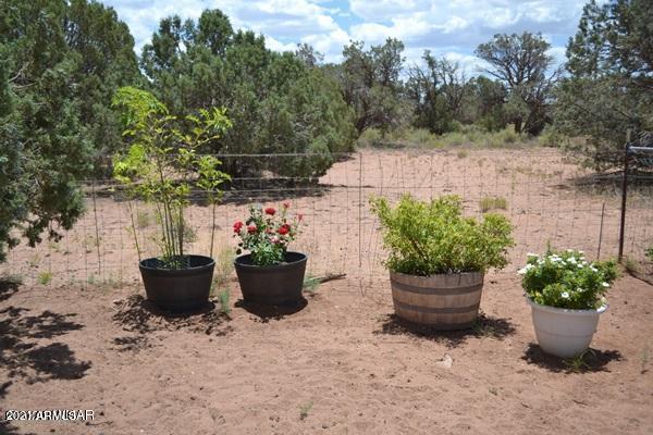 4415 Mountain View Road Snowflake, AZ 85937 - Photo 23 of 33 561942C6B2D60C01