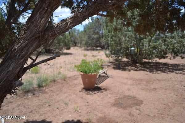 4415 Mountain View Road Snowflake, AZ 85937 - Photo 24 of 33 336BD4FFA64C7251