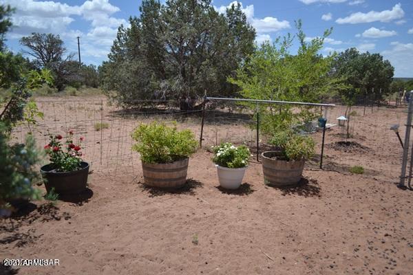 4415 Mountain View Road Snowflake, AZ 85937 - Photo 25 of 33 9C7F08E6A8E27CB1