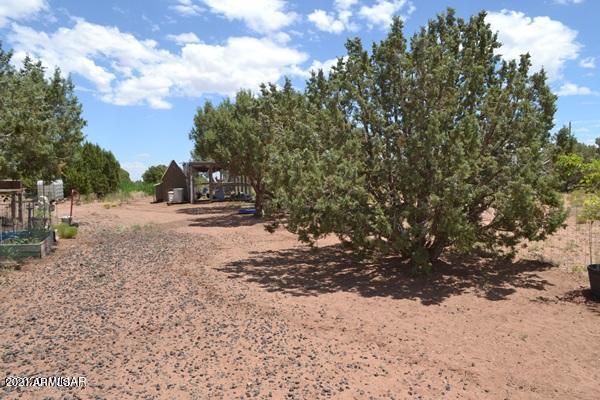 4415 Mountain View Road Snowflake, AZ 85937 - Photo 26 of 33 CBCA43DE0F803A91