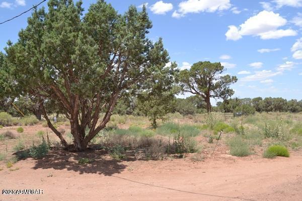 4415 Mountain View Road Snowflake, AZ 85937 - Photo 27 of 33 146E3F80F7DE87C1