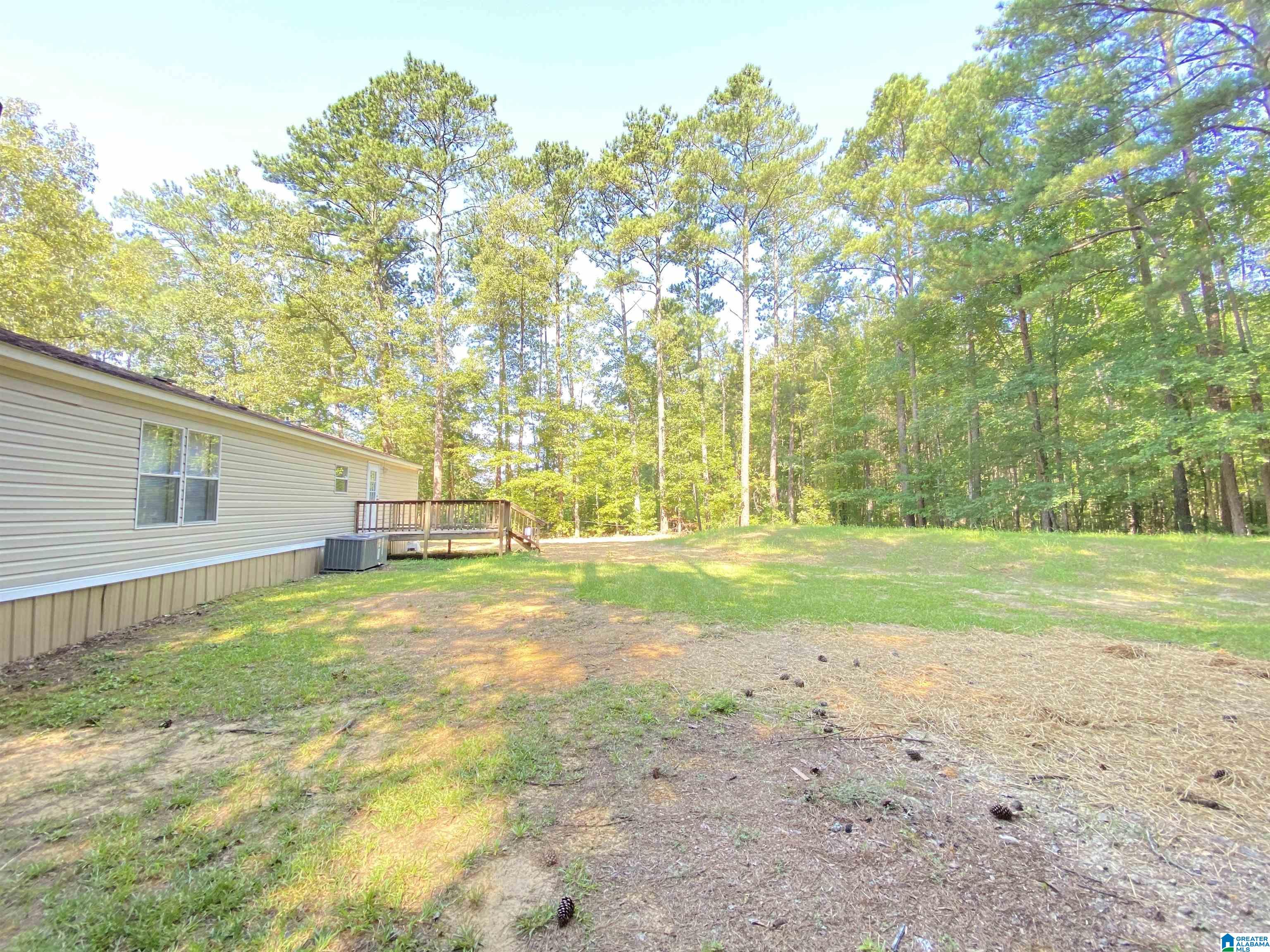 330 Canoe Creek Lane Springville, AL 35146 - Photo 7 of 39
