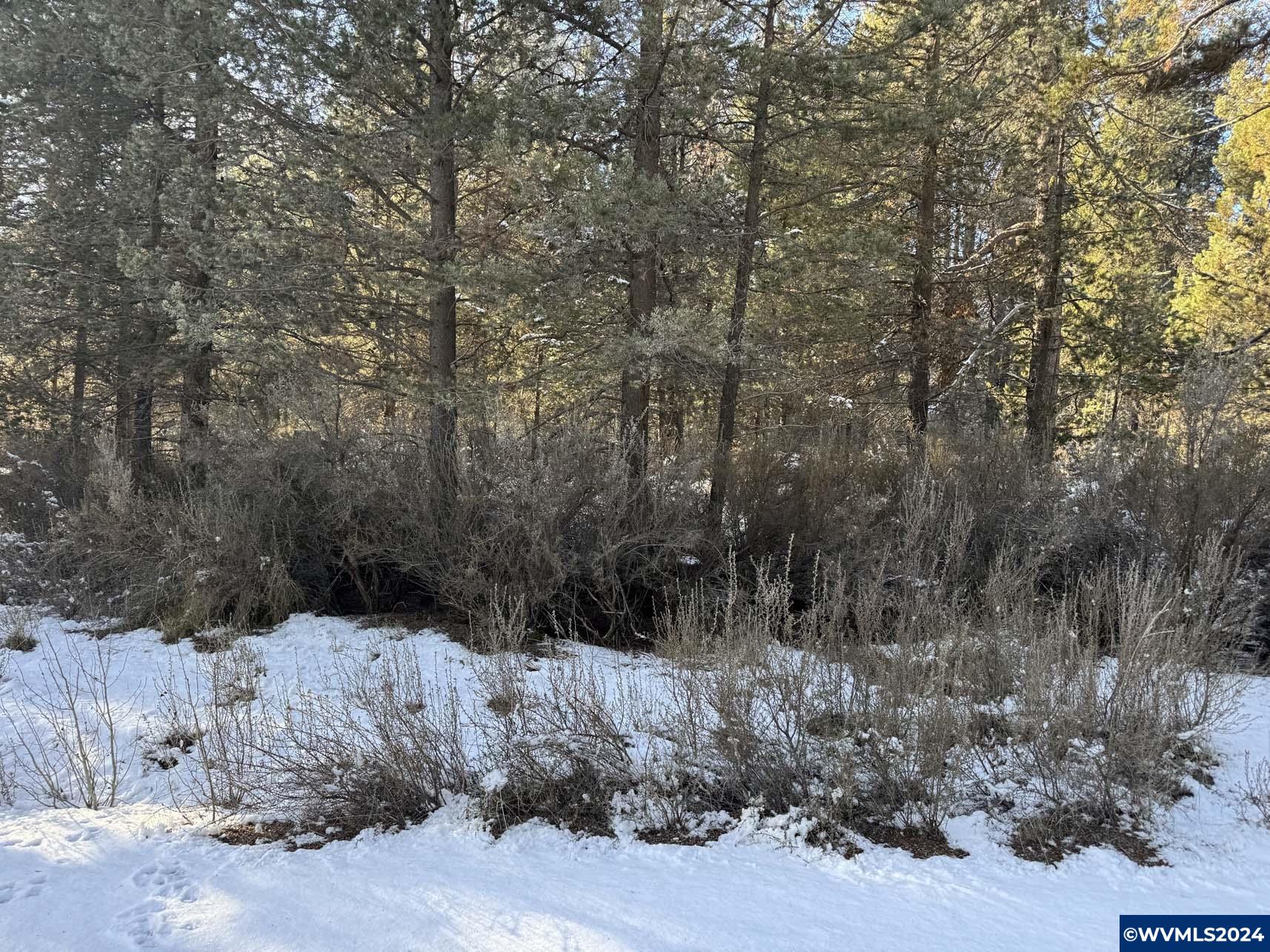 Brook Trout Lane Chiloquin, OR 97624 - Photo 5 of 18