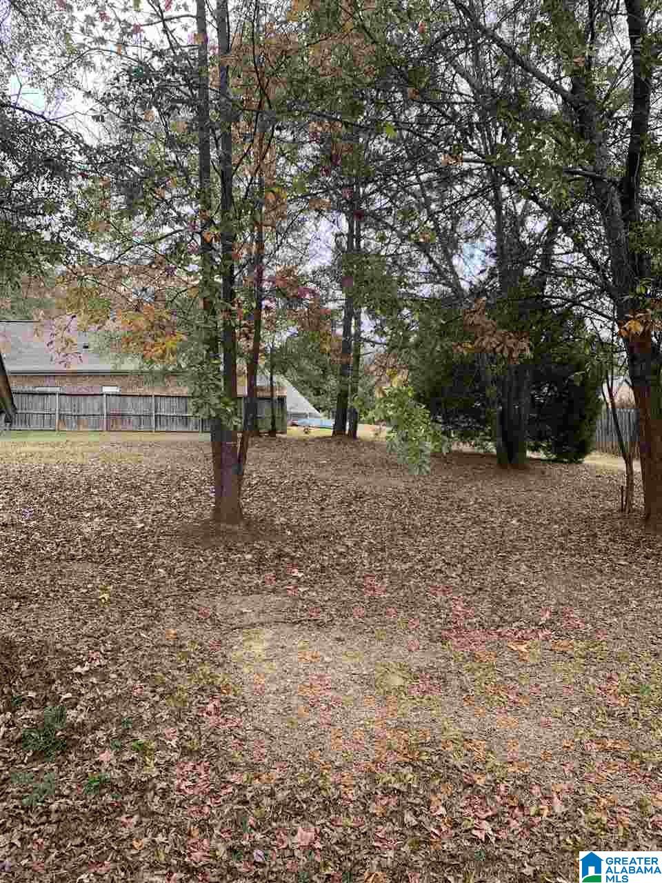 238 Odum Road Gardendale, AL 35071 - Photo 30 of 31