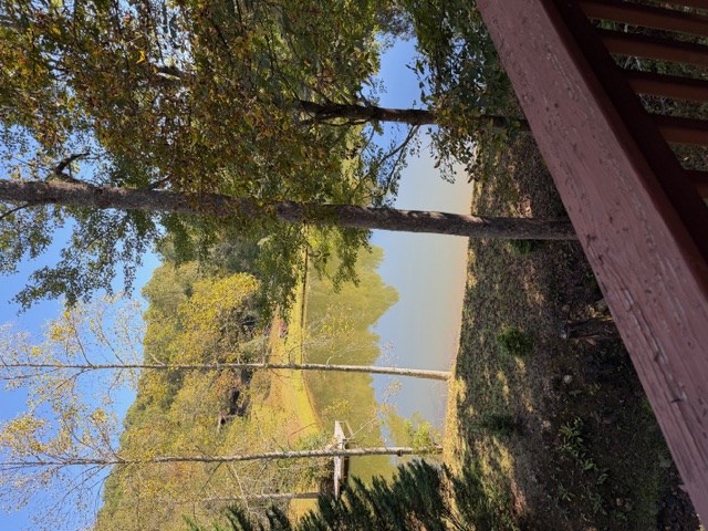 35 Wunder Bear Ridge Morganton, GA 30560 - Photo 3 of 39