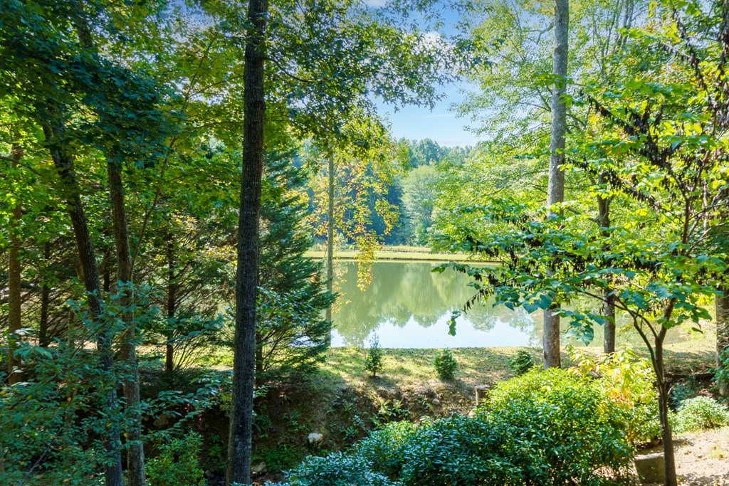 35 Wunder Bear Ridge Morganton, GA 30560 - Photo 10 of 39