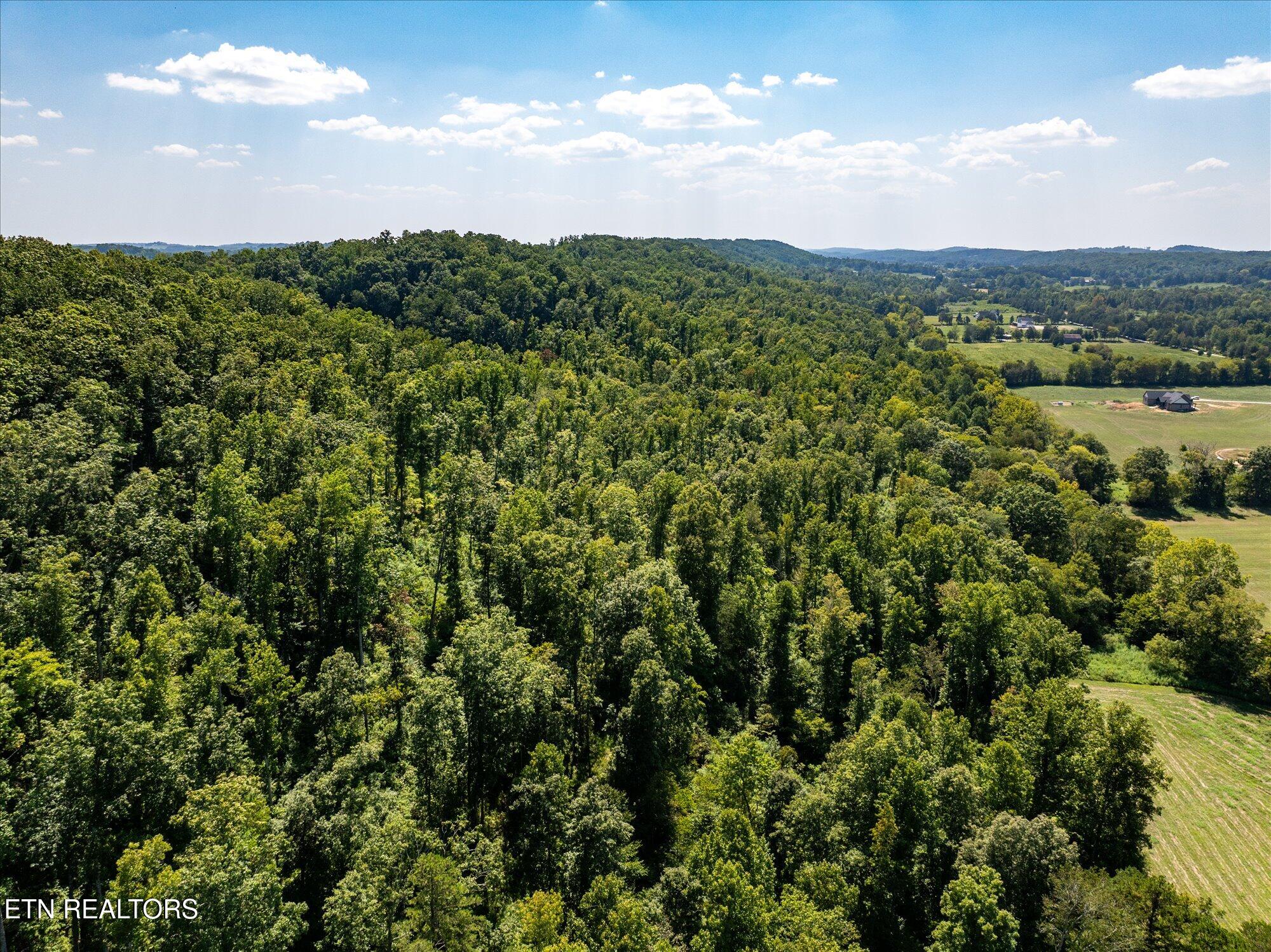 701 Paint Rock Valley Road Philadelphia, TN 37846 - Photo 28 of 54 28-701-Paint-Rock-Valley-Rd-Philadelphia