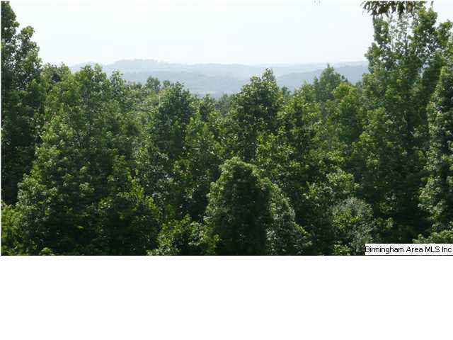 930 Lazy Y Road Hayden, AL 35079 - Photo 27 of 31 Gallery Image 27