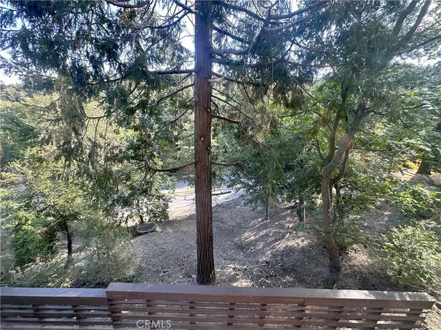 a view of a tree with a yard