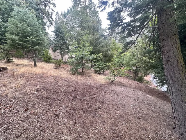 a view of a yard with trees
