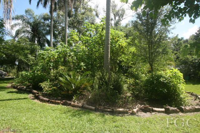 13901 Rod And Gun Club Road Fort Myers, FL 33913 - Photo 11 of 25 a view of a forest