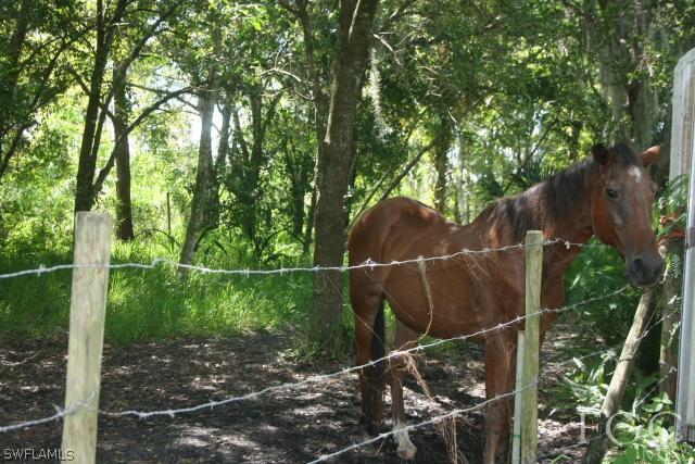 13901 Rod And Gun Club Road Fort Myers, FL 33913 - Photo 6 of 25 a view of a wooden fence and trees