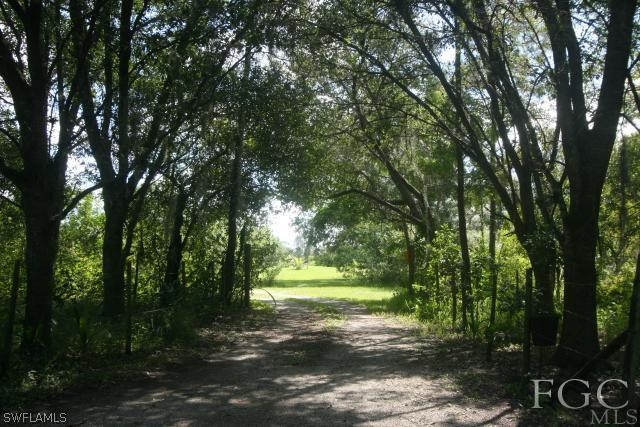 13901 Rod And Gun Club Road Fort Myers, FL 33913 - Photo 7 of 25 a view of a trees in a yard