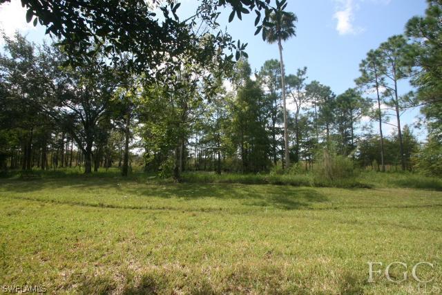 13901 Rod And Gun Club Road Fort Myers, FL 33913 - Photo 10 of 25 a view of outdoor space with trees