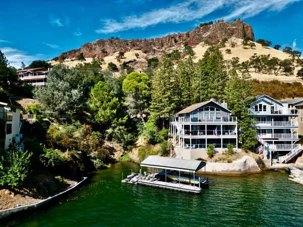a view of a backyard with plants and garden