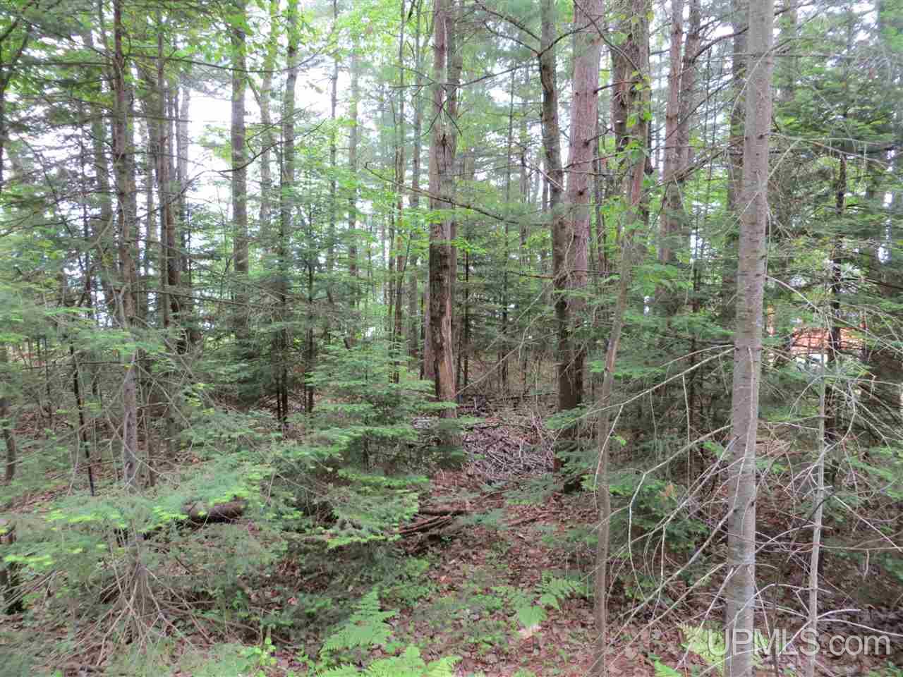Tbd Ramsdam Road Manistique, MI 49854 - Photo 18 of 21 Gallery Image 18