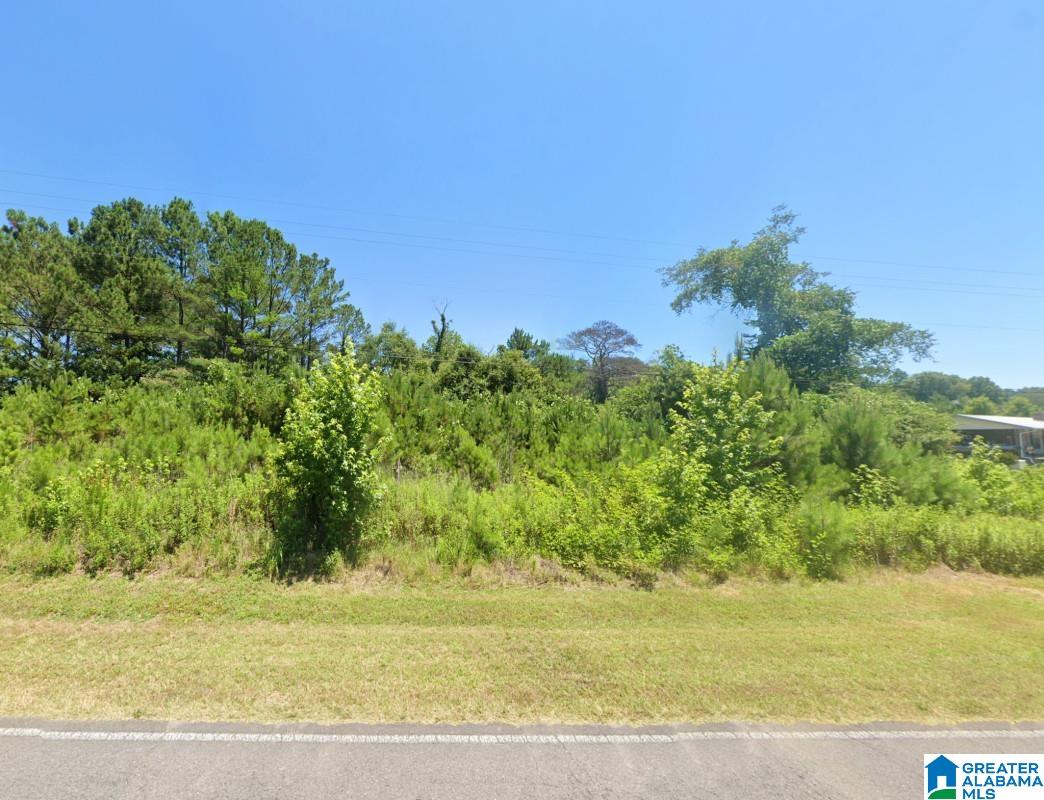 0 Redmill Saragossa Road Nauvoo, AL 35578 - Photo 13 of 13