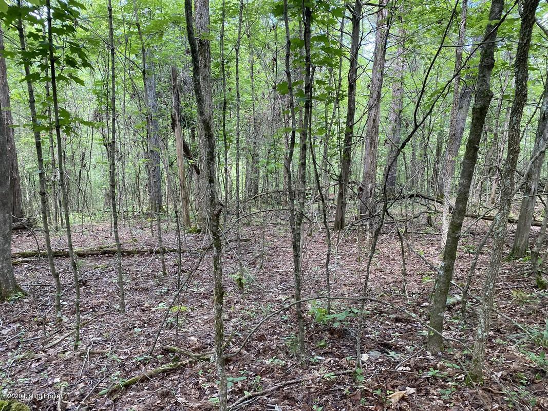 560 River Road Clarkson, KY 42726 - Photo 9 of 24 12 Acres Nolin River81