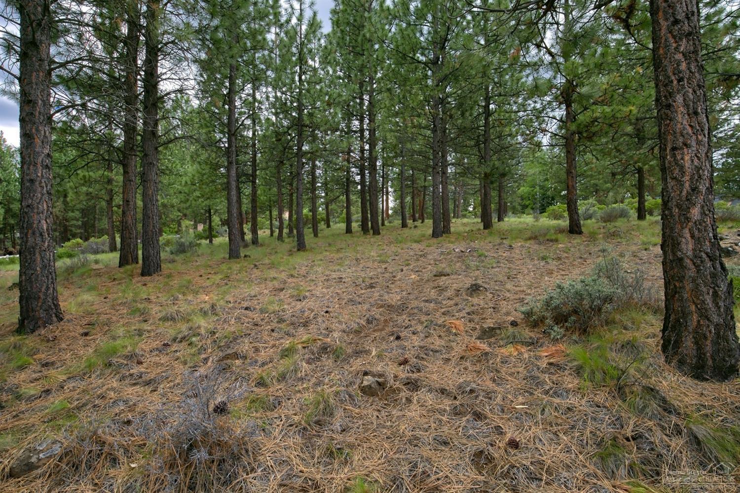 60130 East Ridgeview Drive Bend, OR 97702 - Photo 9 of 18 Additional Photo