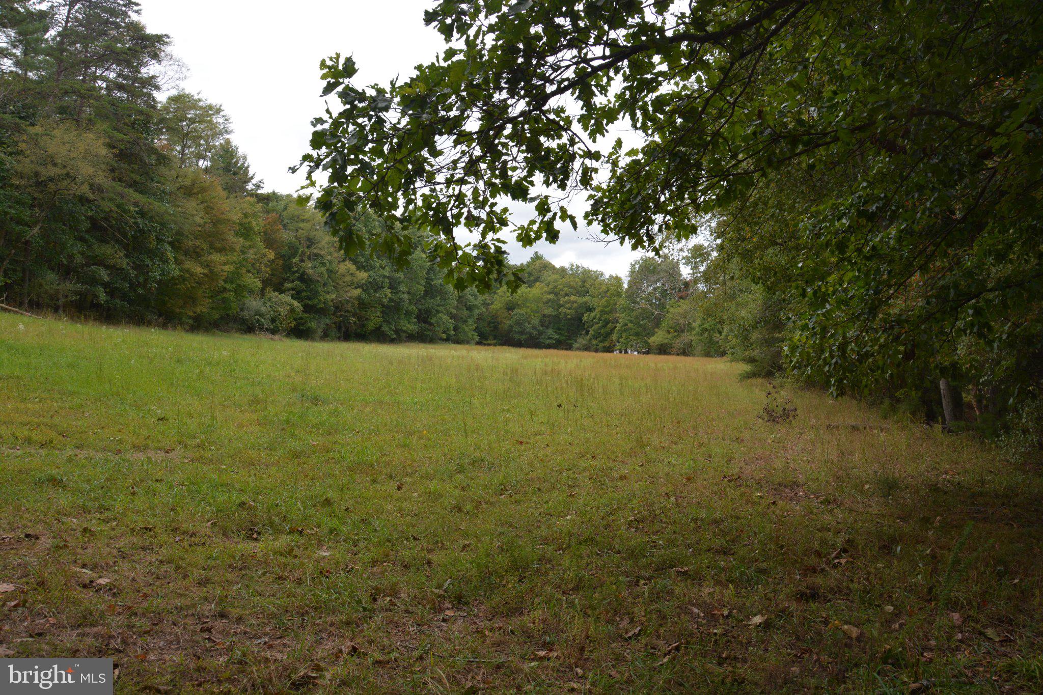 3016 Siler Road Winchester, VA 22603 - Photo 74 of 83 Open field (several acres) off the Trail